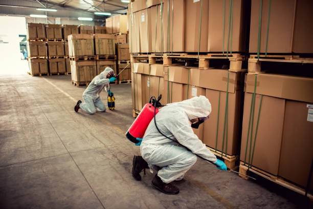 Best Emergency Pest Control  in Wagener, SC