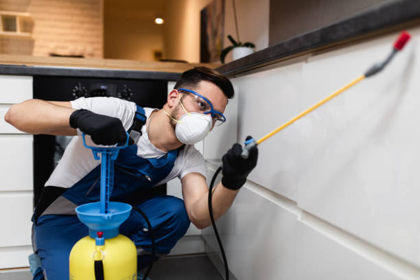 Best Affordable Pest Control Services  in Wagener, SC