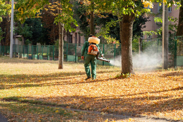 Best Wildlife Control Services  in Wagener, SC