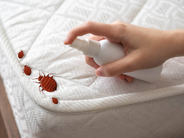 Trusted Wagener, SC Pest Control Experts
