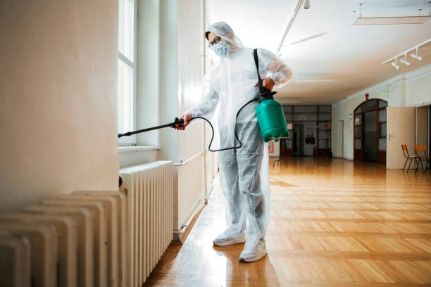 Best Flea Control Services  in Wagener, SC