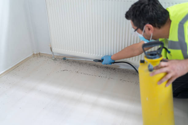 Best Best Pest Control Near Me  in Wagener, SC