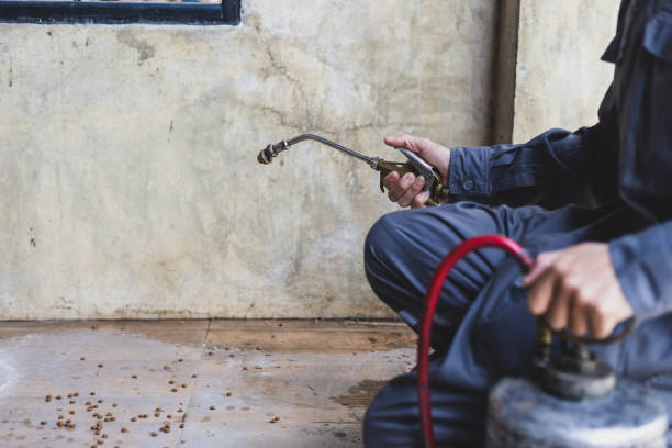 Best Exterminator Services  in Wagener, SC