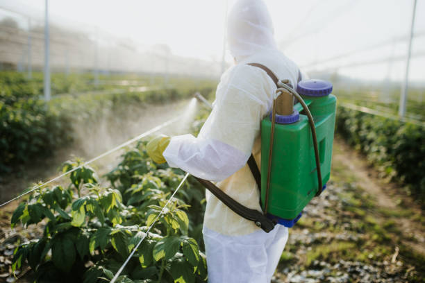 Best Commercial Pest Control Services  in Wagener, SC